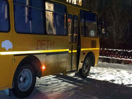 В Башкирии семилетний мальчик попал под колеса школьного автобуса