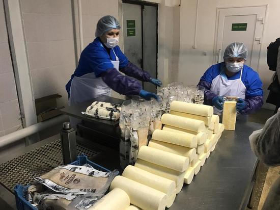 В Тамбовской области стали производить больше сыра и масла