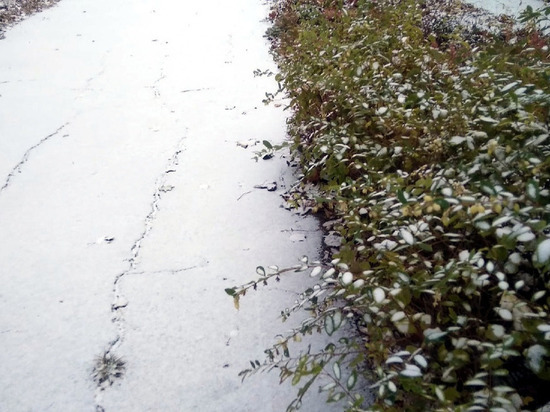 Погода в Донецке на 3 декабря: ожидается снег