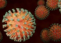 Заместитель главного врача Англии Джонатан Ван Там, выступая на брифинге, заявил, что даже массовая вакцинация не сможет искоренить коронавирус