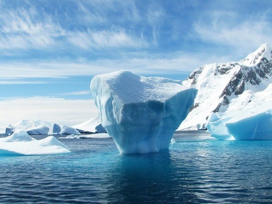 Россиянам советуют прятаться от коронавируса в Антарктиде