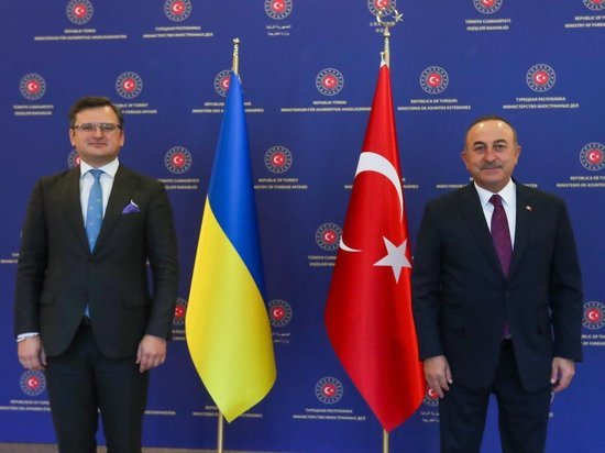 Киев и Анкара договорились о военном сотрудничестве