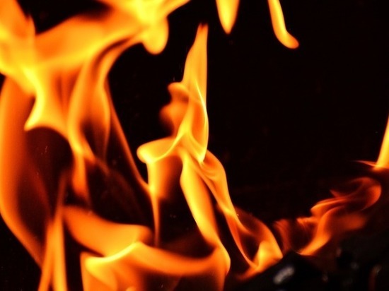 Пенсионерка погибла на пожаре в Борском районе