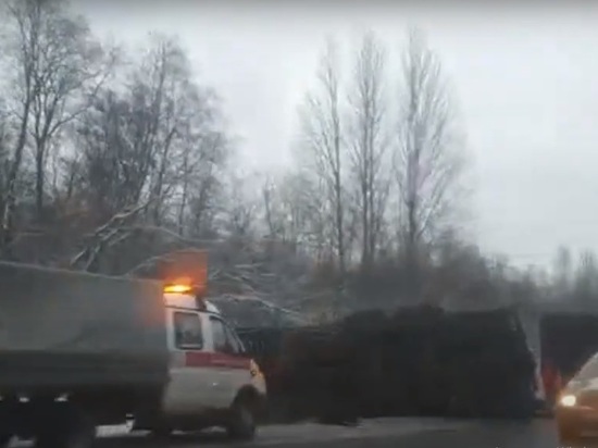 Видео с места столкновения грузовика и легковушки на трассе Петербург-Псков попало в Сеть