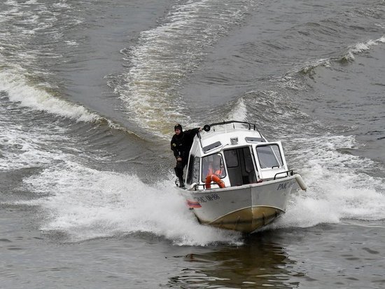 Мужчина утонул в московском пруду на глазах туриста: «Барахтался, кричал»