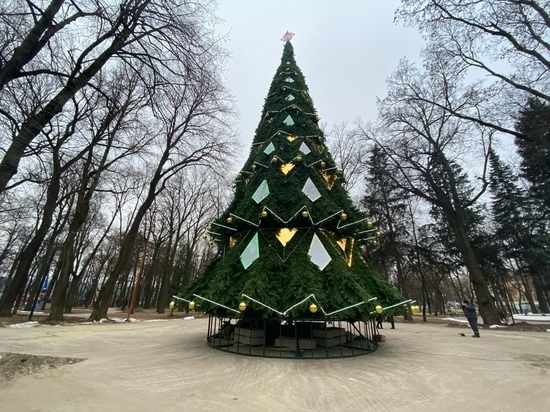 Ёлку в центральном парке Калуги накроют звёздным куполом