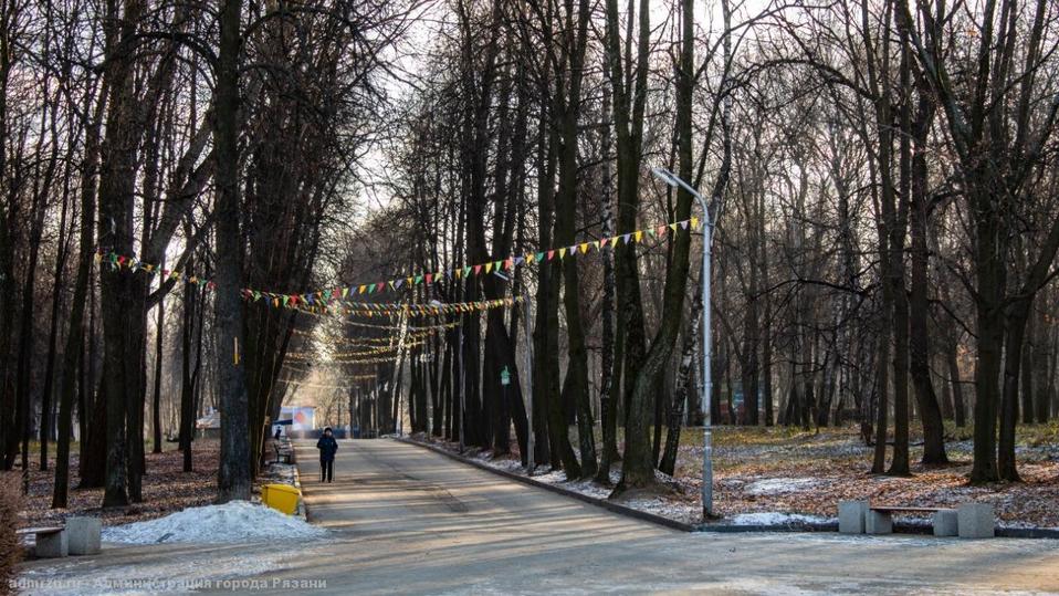 Парк цпкио рязань фото Новогодняя иллюминация в Рязани заработает 15 декабря - МК Рязань