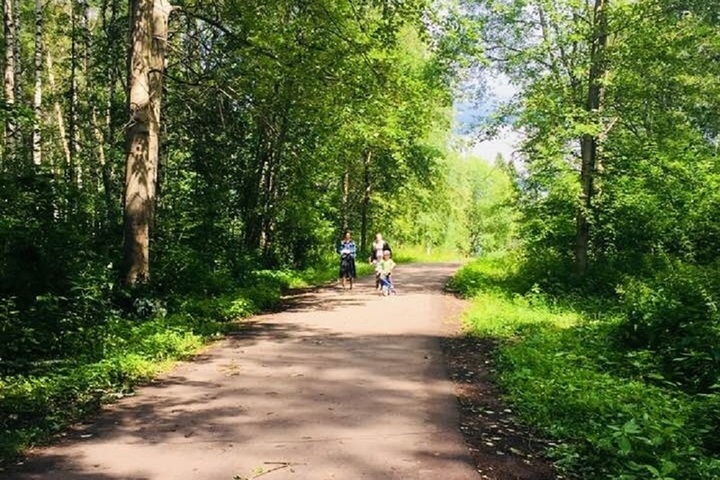 Павловская роща ярославль фото