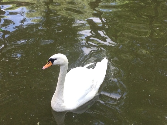 16 патрулей проводят рейды на водоемах Смоленской области 5 декабря