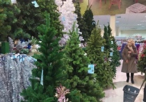 Новогодние елки и сосны можно будет приобрести в Донецке уже с 9 декабря
