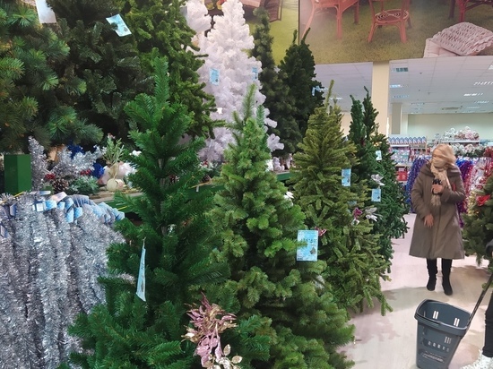 Елочные базары откроются в Донецке 9 декабря
