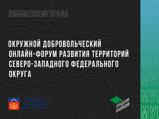 В Заполярье проходит онлайн-хакатон в рамках Окружного добровольческого онлайн-форума развития территорий СЗФО