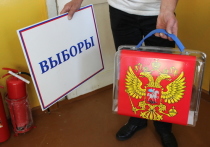 В Каларском и Приаргунском районе 6 декабря стартовали выборы в органы местного самоуправления