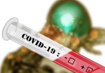 Как сообщает Министерство здравоохранения ЛНР обновило статистику заболеваемости коронавирусной инфекцией