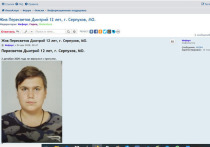 В данный момент поиски Дмитрия остановлены, и на форуме «ЛизаАлерт» на страничке поиска Дмитрия появилась надпись «Жив»
