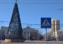 К сборке главного новогоднего дерева в Донецке приступили 1 декабря