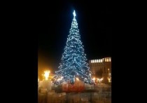 Специалисты смонтировали главную новогоднюю елку в Чите и запустили иллюминацию на дереве