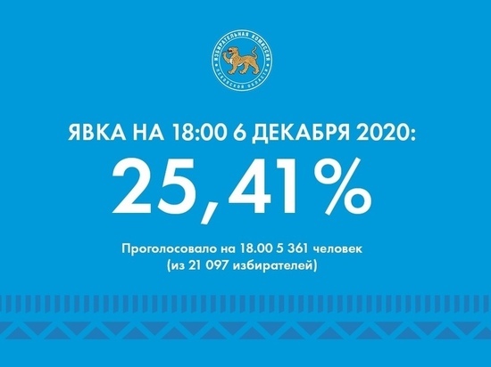 Явка на выборах в трех районах Псковской области на 18.00: выше 25%