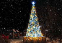 В субботу, 5 декабря 2020 года, в центре города Мурманска зажгли новую новогоднюю подсветку