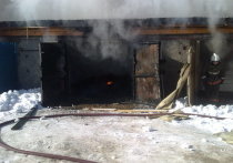 Вечером 6 декабря огонь полностью уничтожил гараж вместе со стоящим в нем японским грузовиком в Петровске-Забайкальском, сообщили 7 декабря в пресс-службе ГУ МЧС по Забайкальскому краю