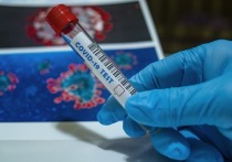 В Забайкальском крае число зараженных коронавирусом за сутки выросло на 265 человек