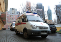 Проверку по поводу падения шкафа на воспитанника частного детского сада проведут московские полицейские
