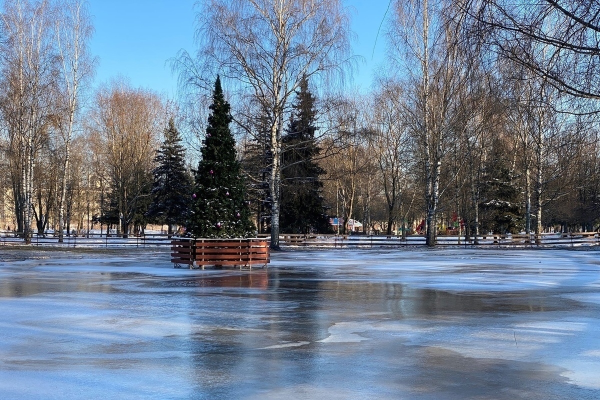 Каток в парке победы