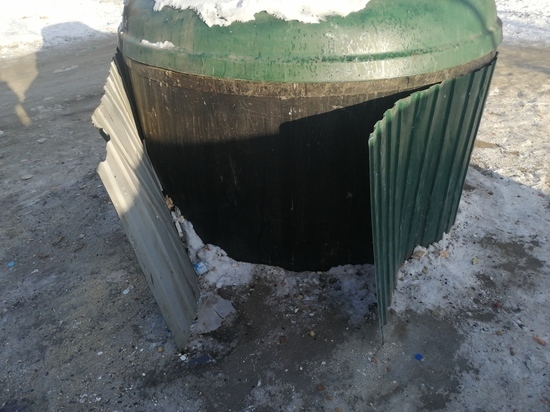В Оренбурге представители ОНФ провели рейд по мусорным площадкам