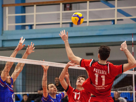 Екатеринбургские налоговики требуют признать чемпиона России по волейболу банкротом