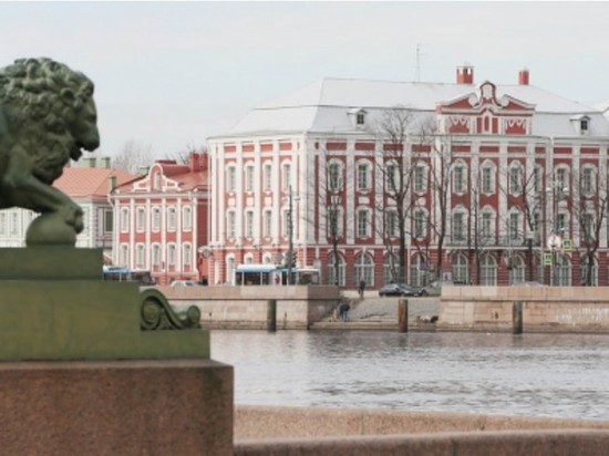 СПбГУ вошел в сотню лучших университетов мира