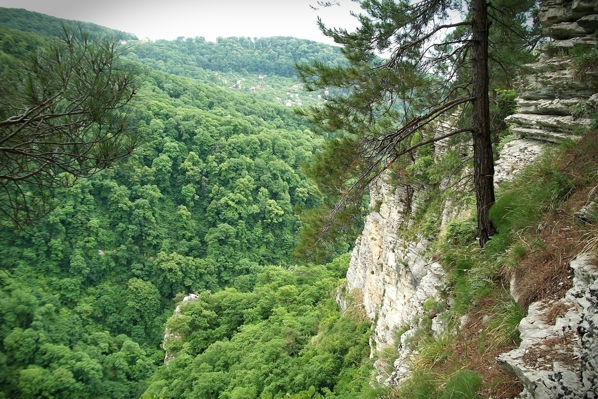 Орлиная скала сочи фото