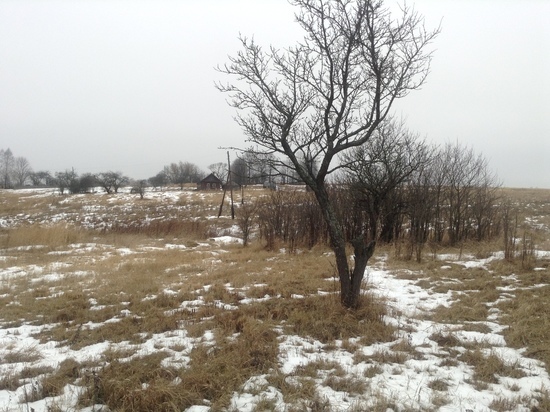 10 декабря в Смоленской области погода вернется к привычной пасмурности