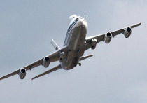 Стало известно, что могло стать целью преступников, обокравших самолет Ил-86, который ремонтировался в Таганроге