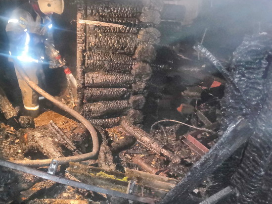 В Смоленском районе в пожаре погибли 170 кур