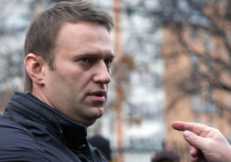 Посол Германии в Москве Геза Андреас фон Гайр заявил, что ответ на запрос от России о правовой помощи по делу оппозиционера Алексея Навального в международном праве требует длительного времени