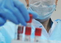 В Мурманской области за минувшие сутки выявлено 284 новых случая заражения коронавирусом