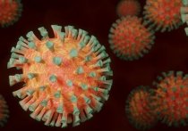 Несмотря на то, что мы уже почти год живем в условиях пандемии, на данный момент с вирусом встретился лишь 1% населения Земного шара