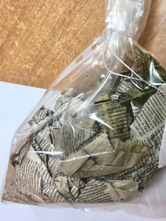 В Смоленске сотрудники ДПС остановили иномарку, у пассажира которой за пазухой был сверток с наркотиками