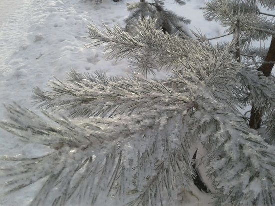 В выходные в Перми немного похолодает