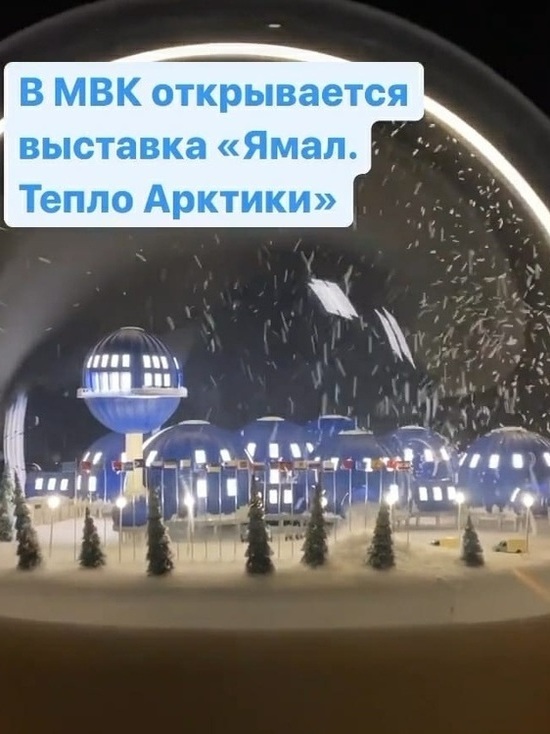 Жителям и гостям Ямала покажут историю округа в снежных шарах