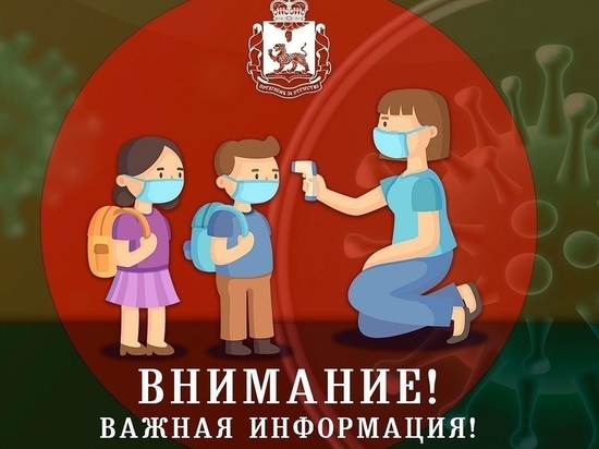 Школы Псковской области с понедельника уходят на дистанционку