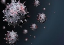 В Забайкалье за последние сутки скончались еще семь человек с подтвержденным диагнозом коронавирусной инфекции