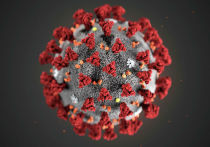 Новое исследование дало ключ к разгадке коронавируса – почему одни заболевшие легко, практически без симптомо переносят COVID-19, а других приходится отправлять в реанимацию