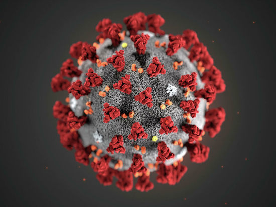 Ученые приблизились к разгадке феномена коронавируса: объяснили разные симптомы
