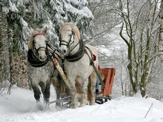 В Смоленске 22 декабря состоится новогодний концерт "Зимние фантазии"