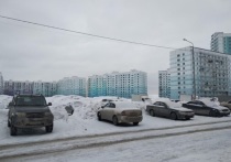 В воскресенье, 13 декабря, утром около 8 часов возле одного из высотных домов по улице Бронная в Кировском районе Новосибирска было обнаружено тело молодой девушки