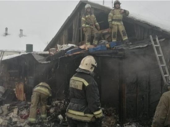 Барнаульские пожарные успели вынести баллон из горящего дома