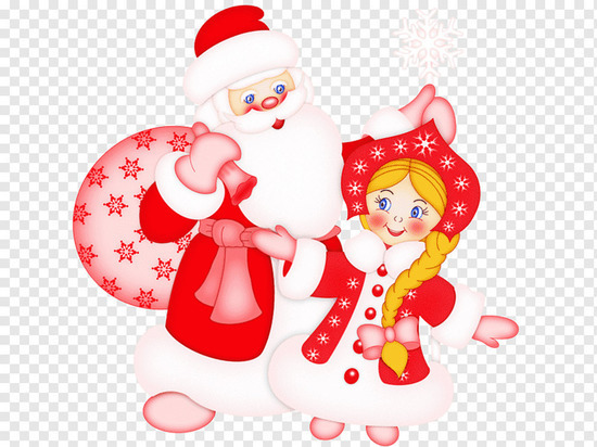 В Ивановском госуниверситете ищут Деда Мороза и Снегурочку