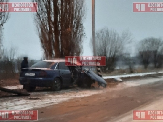 В Десногорске иномарка протаранила столб, вырвало водительскую дверь