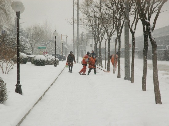 В Барнауле должников по алиментам заставили чистить снег на улицах